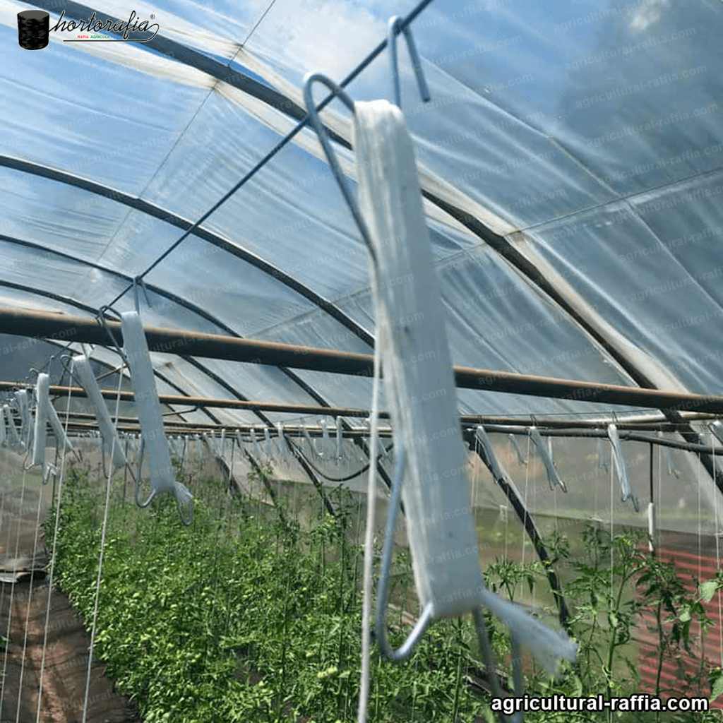 white raffia string in a greenhouse